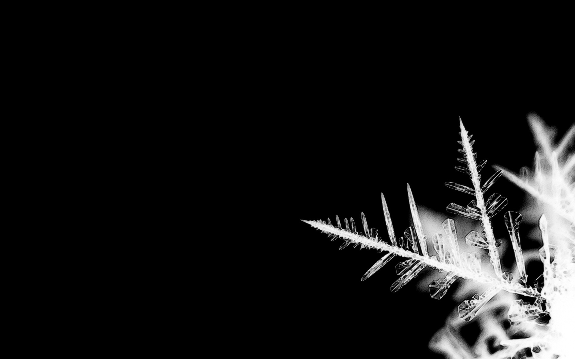 1920 x 1080 HD Wallpapers 2823